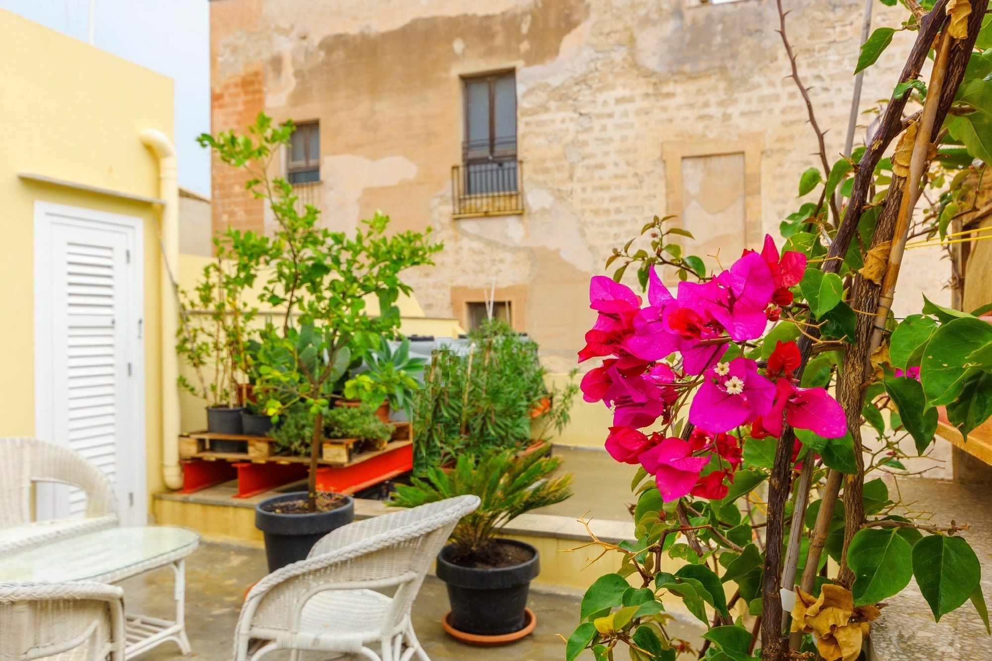 Le Vie Di Trapani Lägenhet Exteriör bild